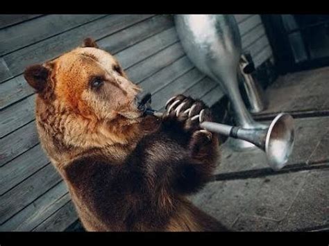 門 意思 熊熊吹樂器